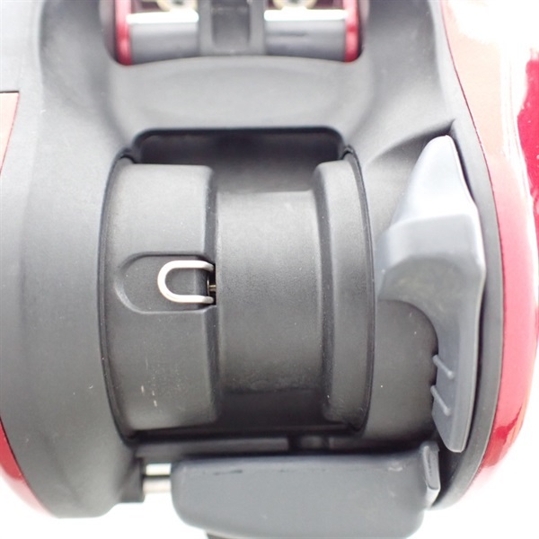 ０９ワカサギマチックＲ